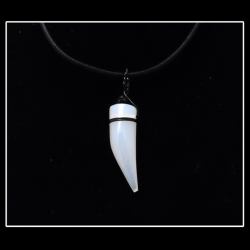 Dragon's Tooth Necklace